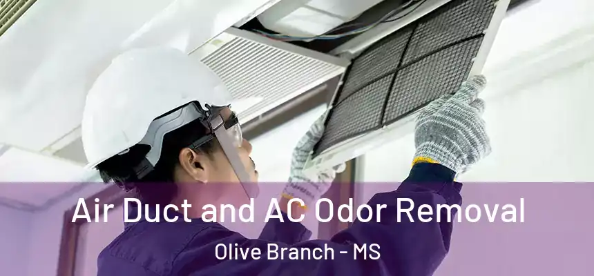 Air Duct and AC Odor Removal Olive Branch - MS