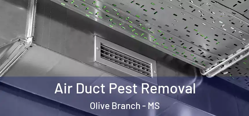  Air Duct Pest Removal Olive Branch - MS