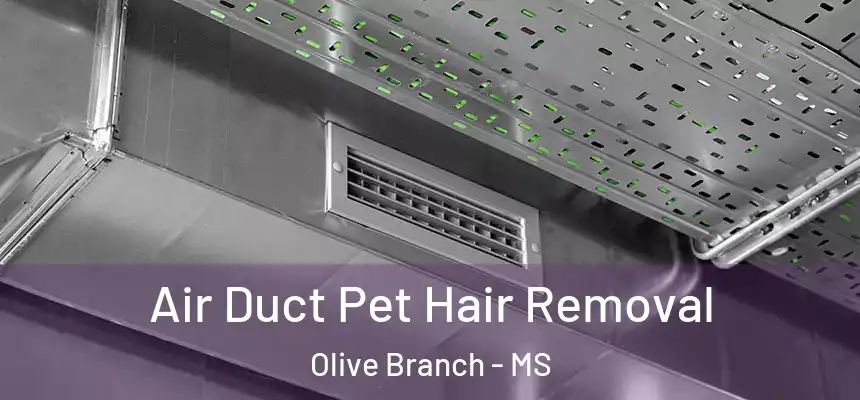  Air Duct Pet Hair Removal Olive Branch - MS