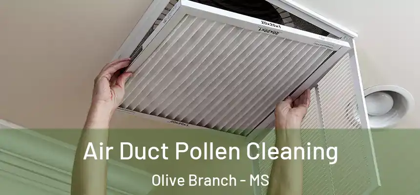 Air Duct Pollen Cleaning Olive Branch - MS