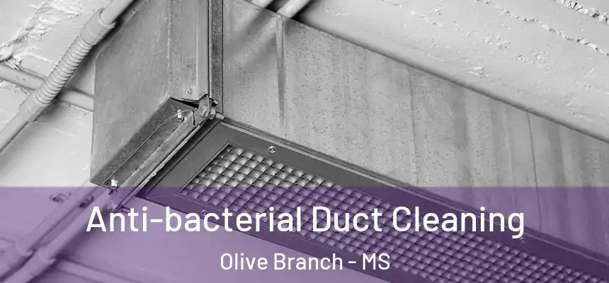  Anti-bacterial Duct Cleaning Olive Branch - MS