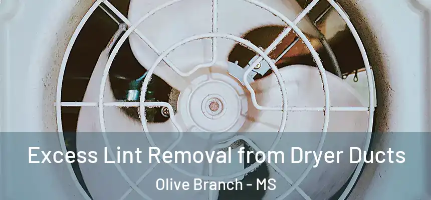 Excess Lint Removal from Dryer Ducts Olive Branch - MS