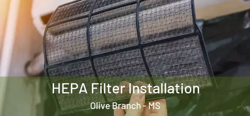  HEPA Filter Installation Olive Branch - MS