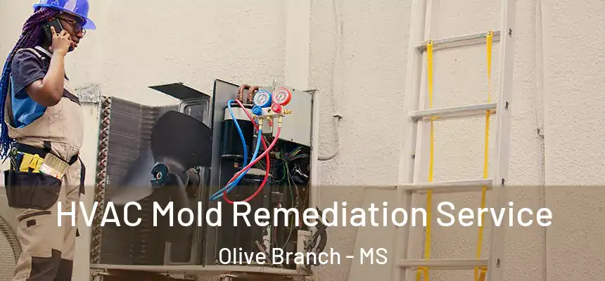HVAC Mold Remediation Service Olive Branch - MS