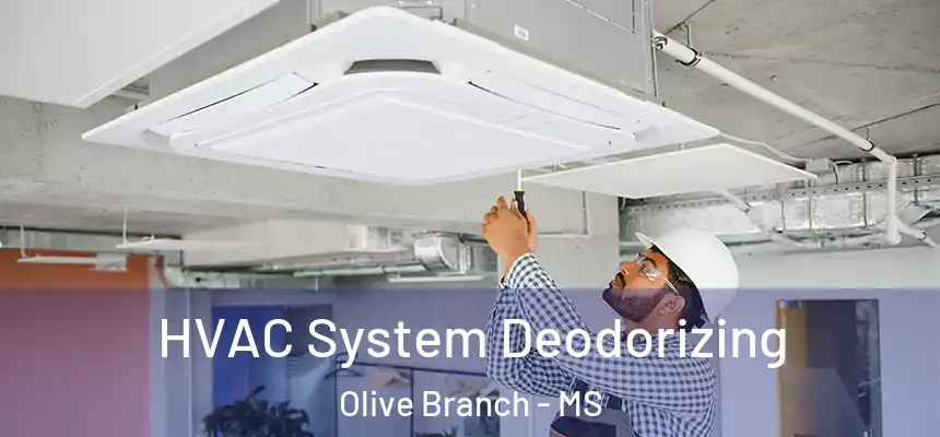 HVAC System Deodorizing Olive Branch - MS