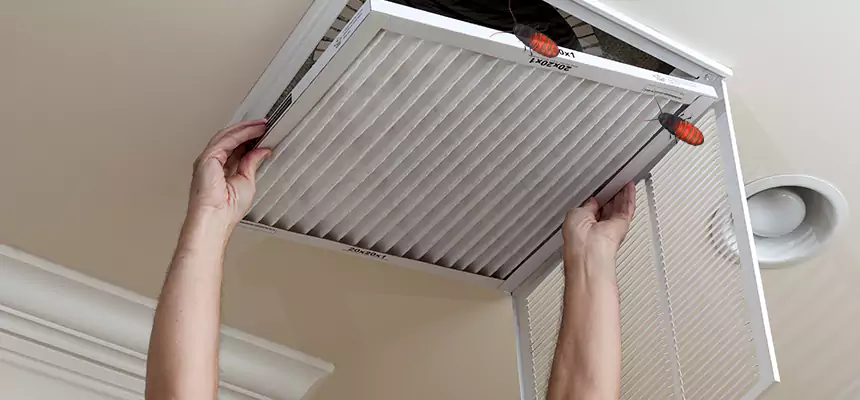 Preventive Cockroach-Proofing for Ducts in Olive Branch