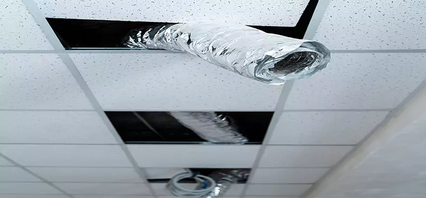 Our Air Duct Pet Hair Removal Services in Olive Branch, MS