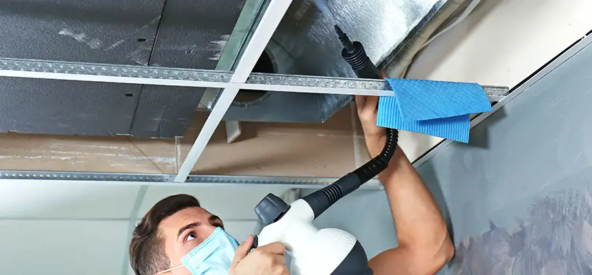Our Air Duct Rodent Removal Services in Olive Branch, MS