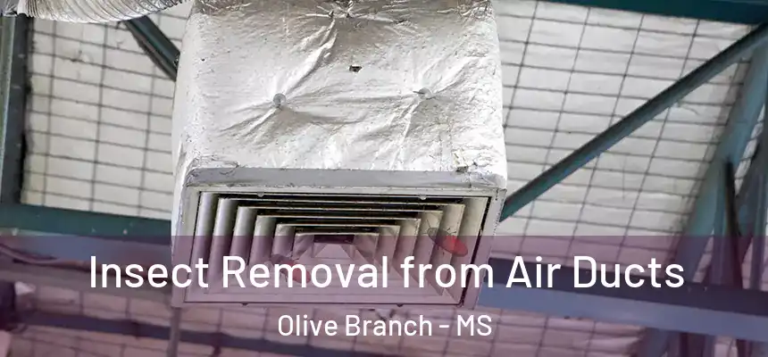  Insect Removal from Air Ducts Olive Branch - MS