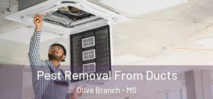  Pest Removal From Ducts Olive Branch - MS