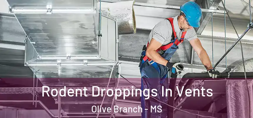 Rodent Droppings In Vents Olive Branch - MS