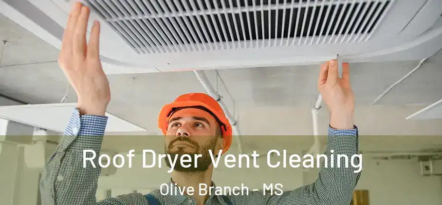Roof Dryer Vent Cleaning Olive Branch - MS