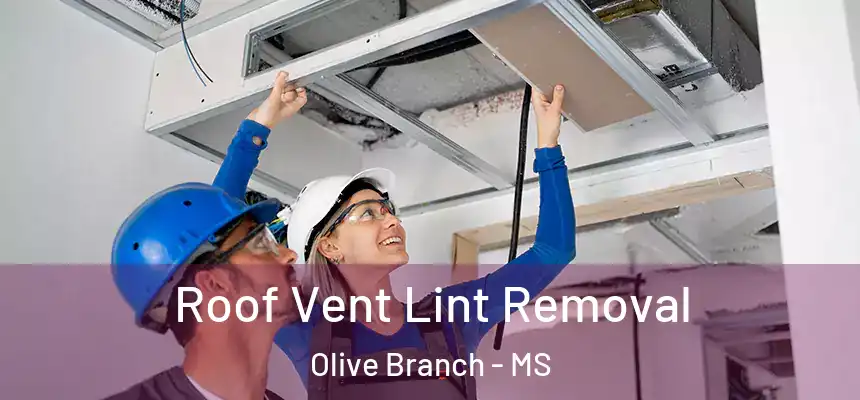 Roof Vent Lint Removal Olive Branch - MS