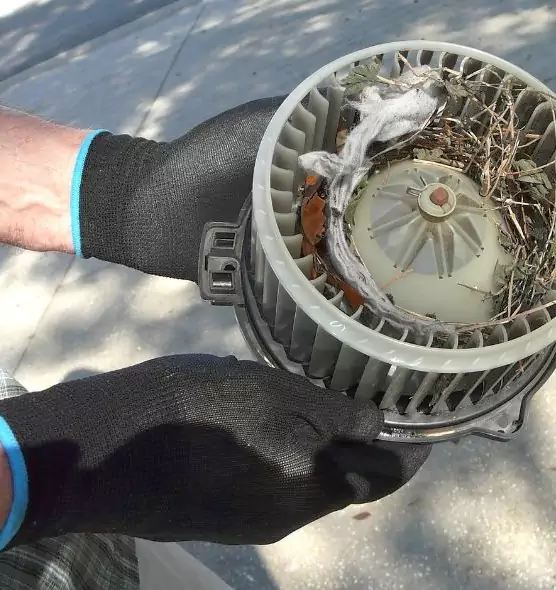 About Air Duct Mice Removal in Olive Branch, MS