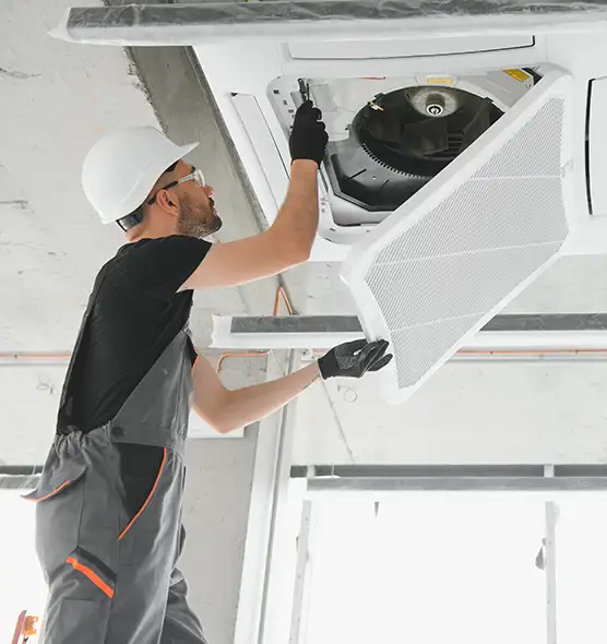 About Air Duct Rodent Removal in Olive Branch, MS