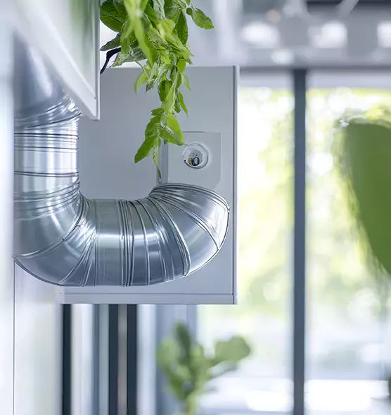 Professional Eco-Safe Dryer Vent Cleaning in Olive Branch, MS