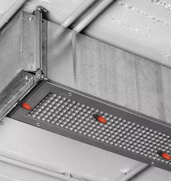 Affordable Insect Removal from Air Ducts in Olive Branch, MS