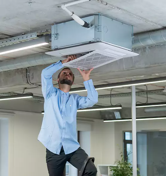 Advanced Rodent Droppings In Vents in Olive Branch, MS