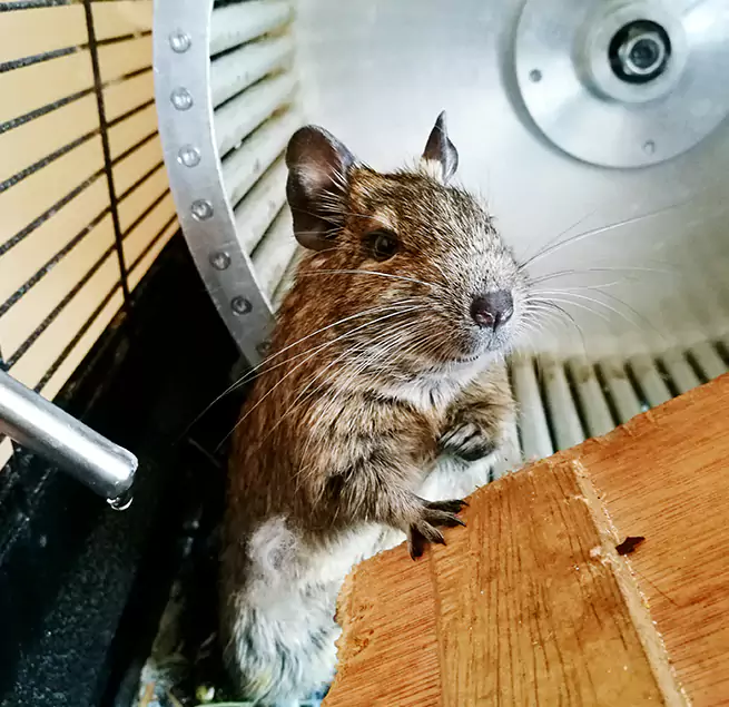 Why Homeowners & Businesses Trust Us Olive Branch, MS