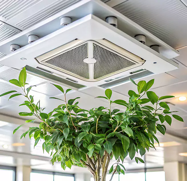 Why Homeowners & Businesses Trust Us in Olive Branch, MS